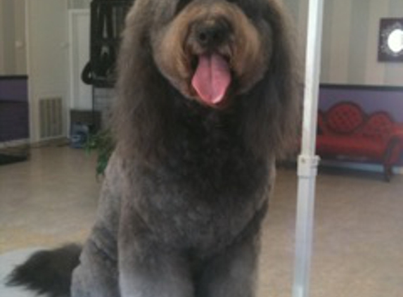 Royal Pets Grooming Spa - Hammond, LA