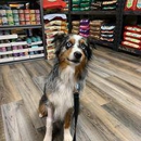 Tailwaggers - Pet Services