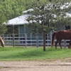 La Bota Ranch Equestrian Center gallery