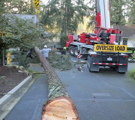 P.I.N.K. Chainsaw Tree Service