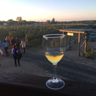 Kosicek Vineyards