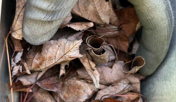 Pure Pro Gutter Cleaning LLC - East Windsor, CT. Pure Pro Gutter Cleaning, East Glastonbury, CT, cleangutterclean.com