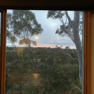 Global Arborist Australia - Port Melbourne, VIC