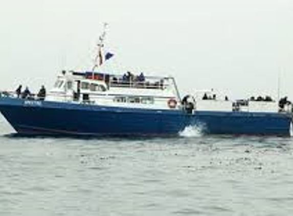 Spectre Dive Boat - Ventura, CA