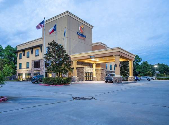 Comfort Suites Old Town Spring - Spring, TX