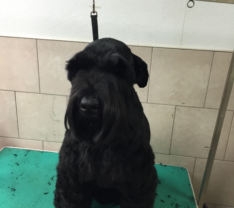 At Your bark N' Call Dog Grooming - Trenton, NJ