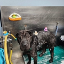 VCA Baywood Animal Hospital & Pet Resort - Pet Services