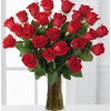 Amazing Flowers gallery
