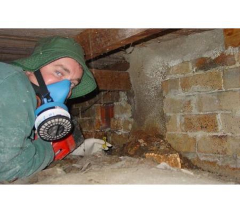 Systems Pest Management Pty Ltd