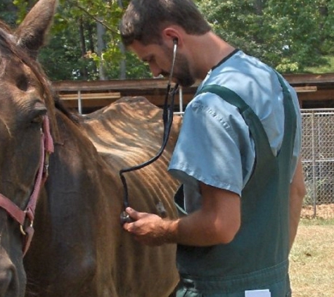 Mobile Veterinary Service