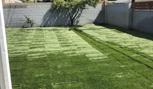 Cardenas Gardening Lawn Maintenance - Santa Ana, CA. new Bermuda sod