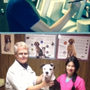 North Suburban Veterinary Hospital - Pet Services