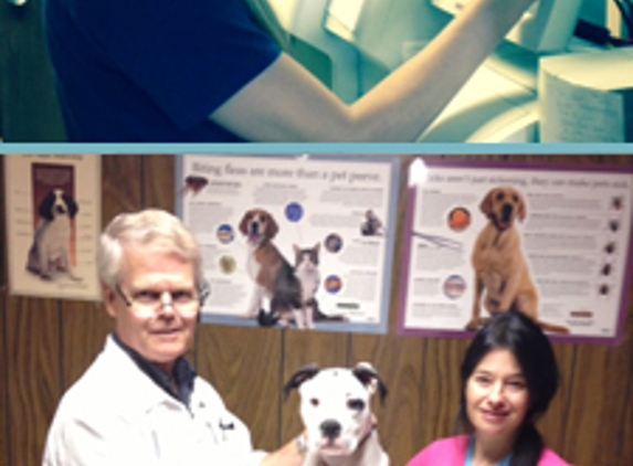 North Suburban Veterinary Hospital - Sterling Heights, MI