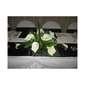 Gallery Image Number 2
