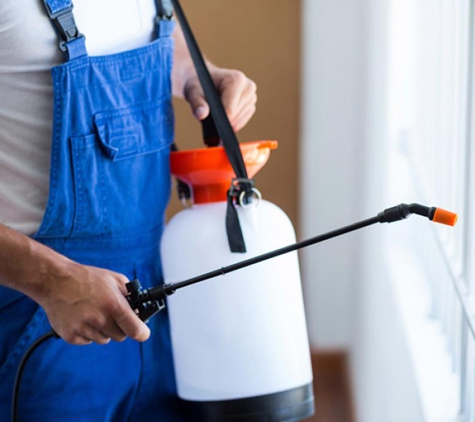 Antibug Pest Management - Castle Hill, NSW
