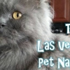The Las Vegas Pet Nanny gallery
