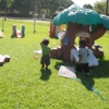 Footprints Child Care & Learning gallery