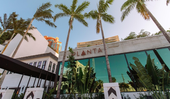 Planta - Miami Beach, FL