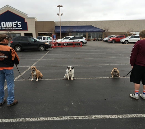 Buddy's Dog School - Harrah, OK