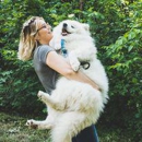 Palm Ridge Grooming Gallery - Pet Grooming