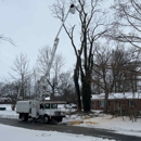 Apex Arbor Worx - Tree Service