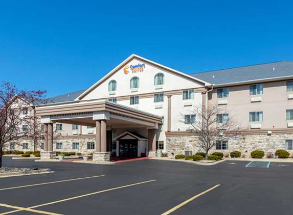 Comfort Suites Stevensville-St. Joseph - Stevensville, MI