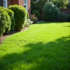 Turf Chief Lawn Care gallery