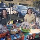 Jonesville Animal Hospital - Veterinarians