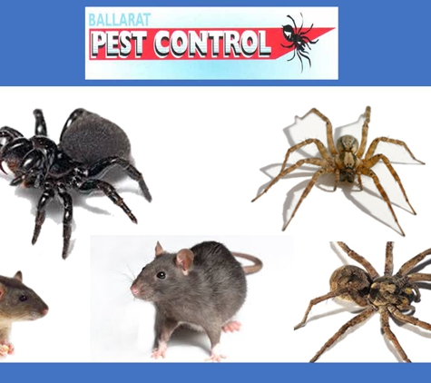 Ballarat Pest Control - Mount Pleasant, VIC. Ballarat Pest Control is a member of the Australian Environmental Pest Managers Association.