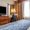 Avion Inn Near LGA Airport, Ascend Hotel Collection gallery