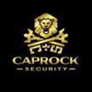 Caprock Security - Surveillance Equipment