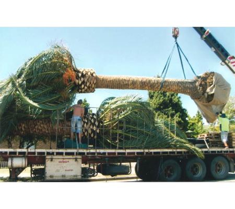 Hinde Transport - Molendinar, QLD