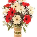 Lebens Floral & Gardens - Garden Centers