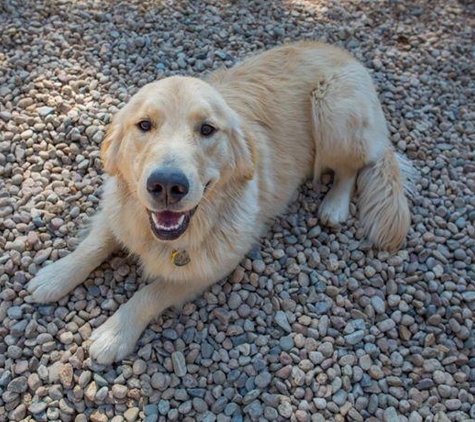 Canine's Canyon - Golden, CO