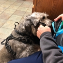 Homestead Animal Hospital - Veterinary Clinics & Hospitals