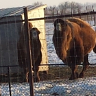 Hemker Park and Zoo