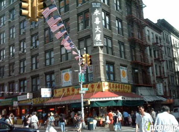 Zhang Yi Acupuncture - New York, NY