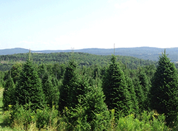 Uncle Steve’s Christmas Trees - Hooksett, NH