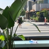 Bluestone Lane Venice Beach Cafe gallery