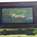Dog Pond Kennels - Pet Boarding & Kennels