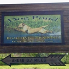 Dog Pond Kennels