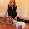 At Home Dog Trainer, LLC gallery