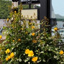 Beech Tree Cafe - Coffee & Espresso Restaurants