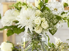 Gallery Image Number 1