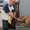 Dog Training Elite Greater Cincinnati gallery
