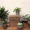Crescent Floral & Gifts gallery