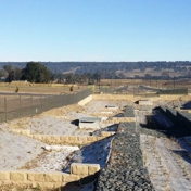 Gallery Image Number 5
