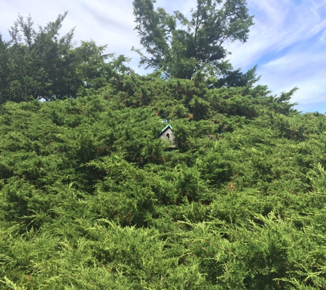 Topsmead State Forest - Litchfield, CT