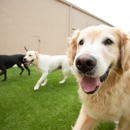 The Dog Stop - Baton Rouge South - Pet Training