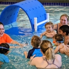 Little Whale Swim School